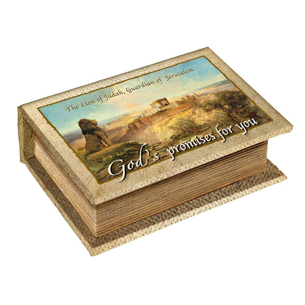 God's Promises Box - Lion of Judah