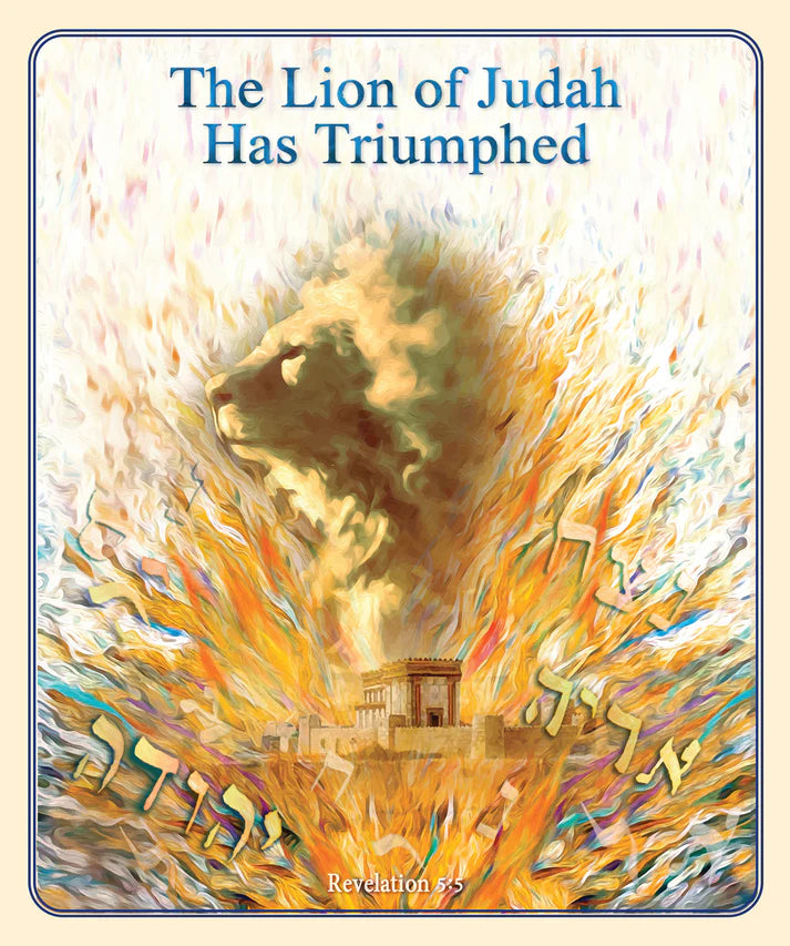 Lion of Judah Plush Blanket